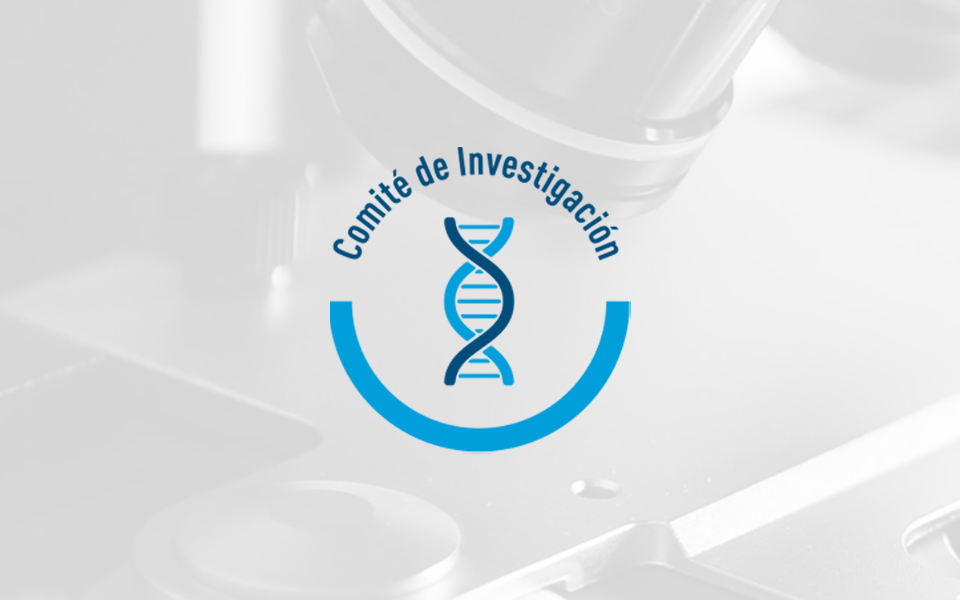 Comité de investigación